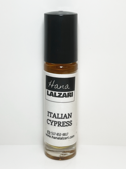Italian Cypress